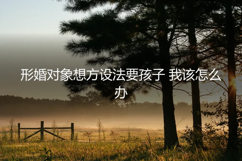 形婚对象执意要孩子,我该如何应对与抉择?