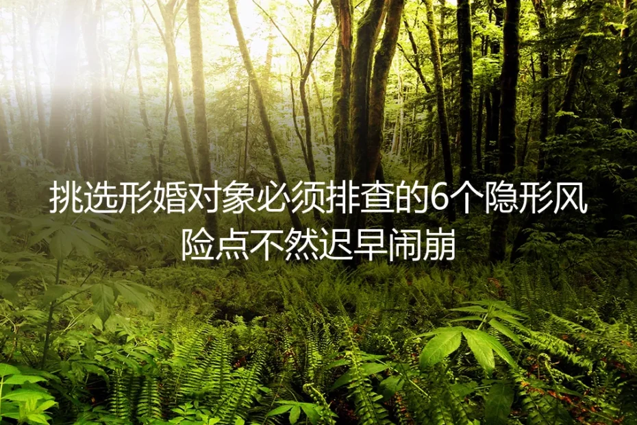 形婚实操避坑指南：挑选对象必须排查的6个隐形风险点 不然迟早闹崩