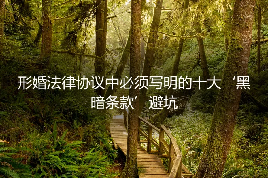 保姆级实操指南：形婚法律协议中必须写明的十大‘黑暗条款’避坑