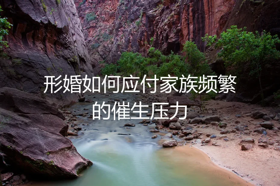 形婚避坑指南：如何应对家族频繁催生压力（附婚前协议与边界管理）