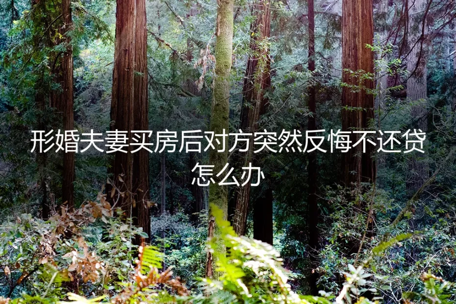 形婚买房后对方突然反悔不还贷，如何守住法律与财务底线？