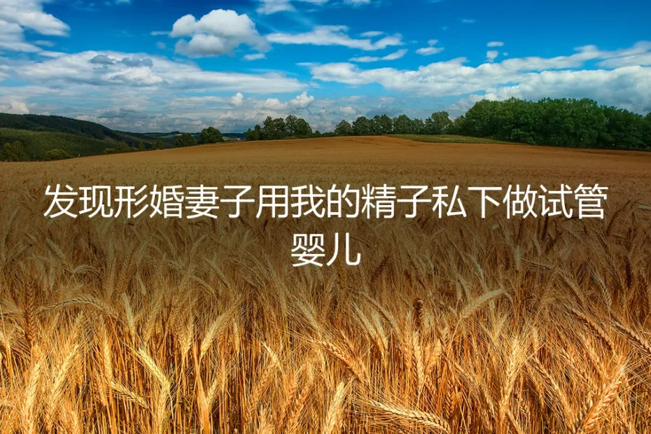 隐秘的生育:当形婚妻子私自用我的精子做试管婴儿