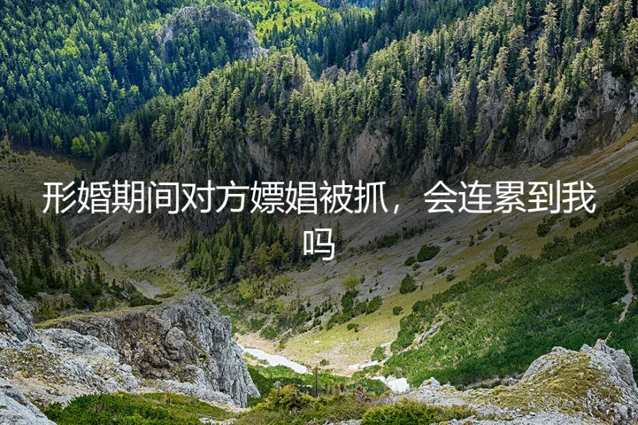 形婚期间对方因嫖娼被抓,我会被牵连吗?法律与现实的深度剖析