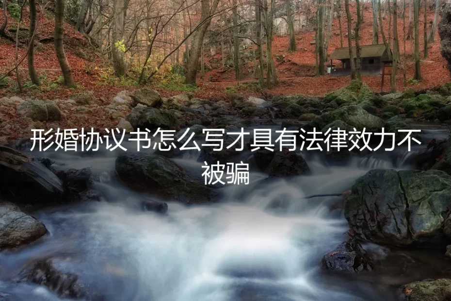 形婚协议书怎么写才具有法律效力？资深专家保姆级避坑指南
