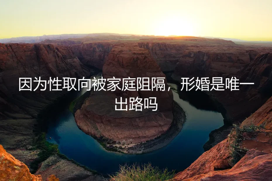 形婚是唯一出路？被家庭阻隔的性少数群体深度答疑