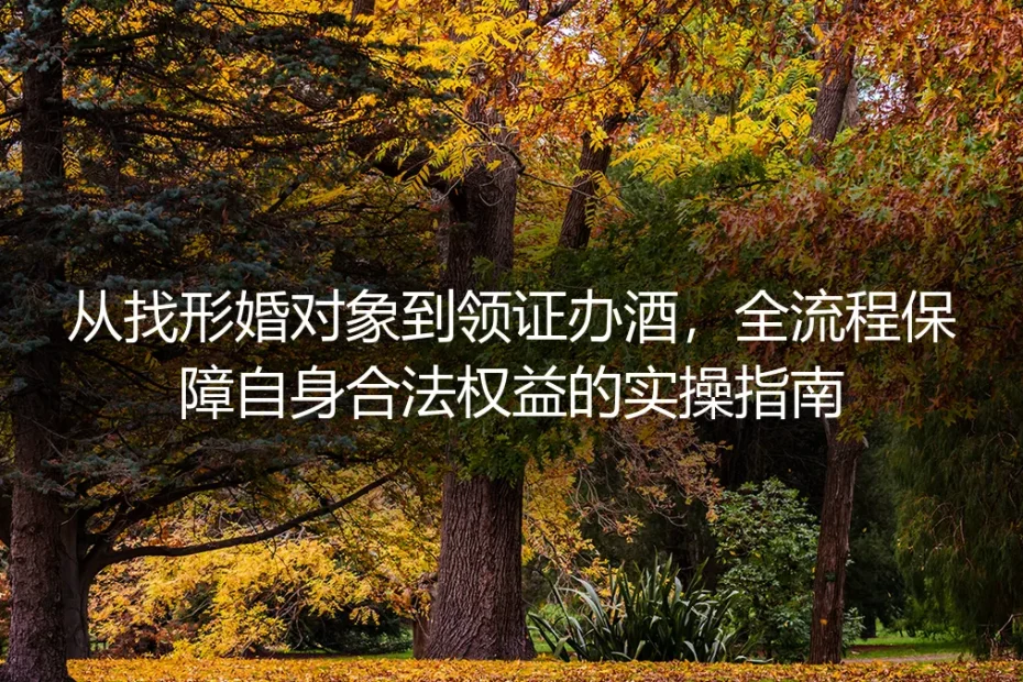 从找对象到领证办酒:形婚全流程合法权益保障保姆级实操指南