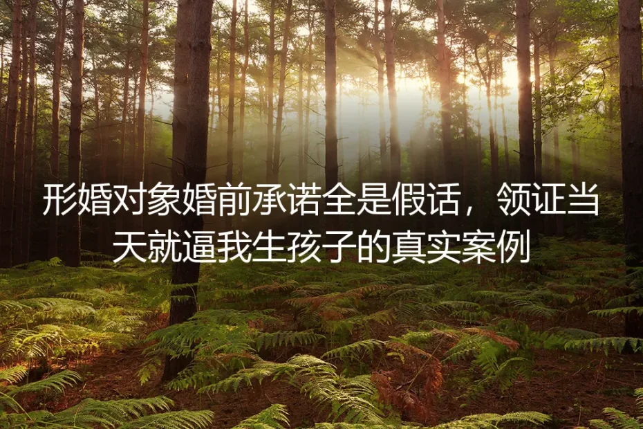 领证当天被形婚对象逼生：那些婚前口头承诺全作废的局，怎么破？