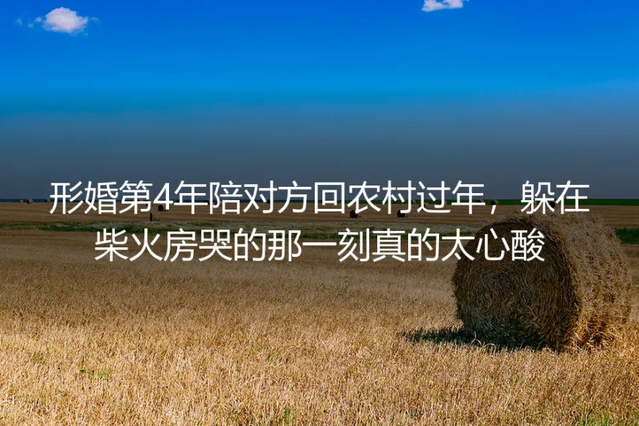 形婚第四年陪他回村过年,躲在柴火房哭的那一刻我懂了边界的意义