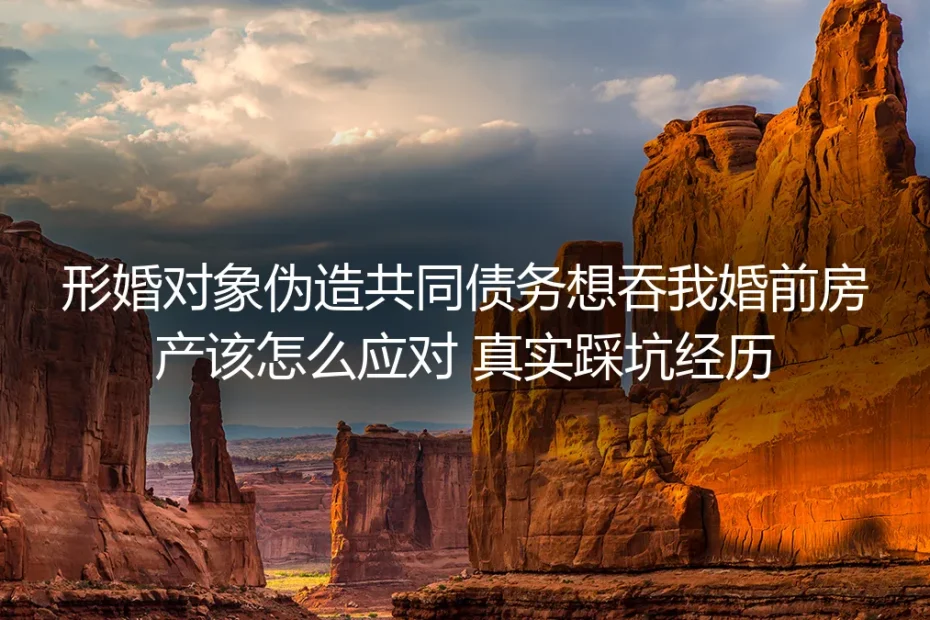 形婚对象伪造共同债务想吞我婚前房产该怎么应对？真实踩坑经历与破局指南