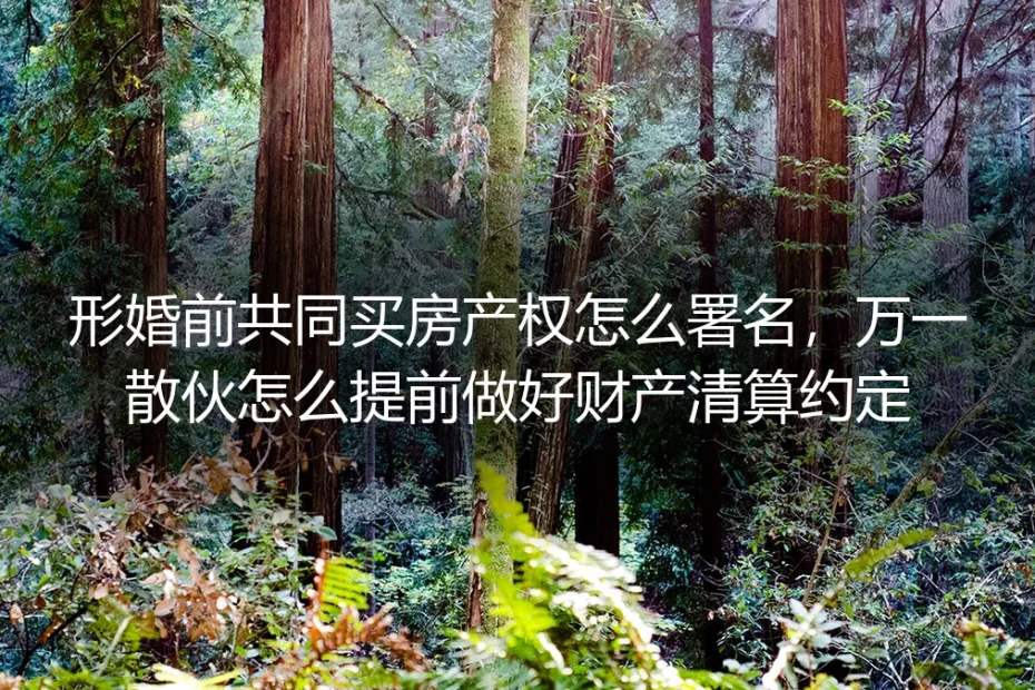 形婚共同买房实操避坑指南：产权署名规则+散伙财产清算全预案