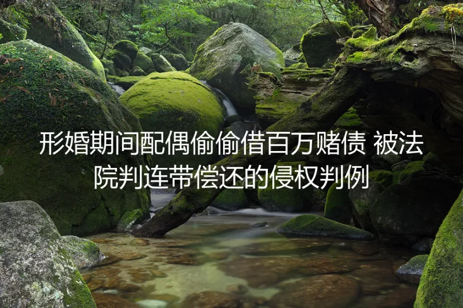 形婚配偶偷借百万赌债被判连带偿还：真实判例里的风险与避坑路径
