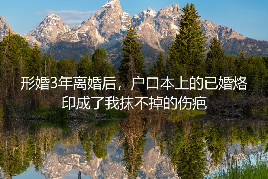 形婚3年离婚后，户口本上的已婚烙印成了我抹不掉的伤疤
