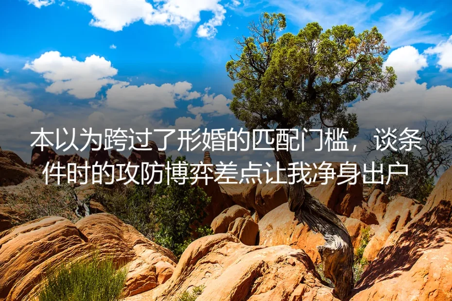 本以为跨过形婚匹配门槛，谈条件时的攻防博弈差点让我净身出户