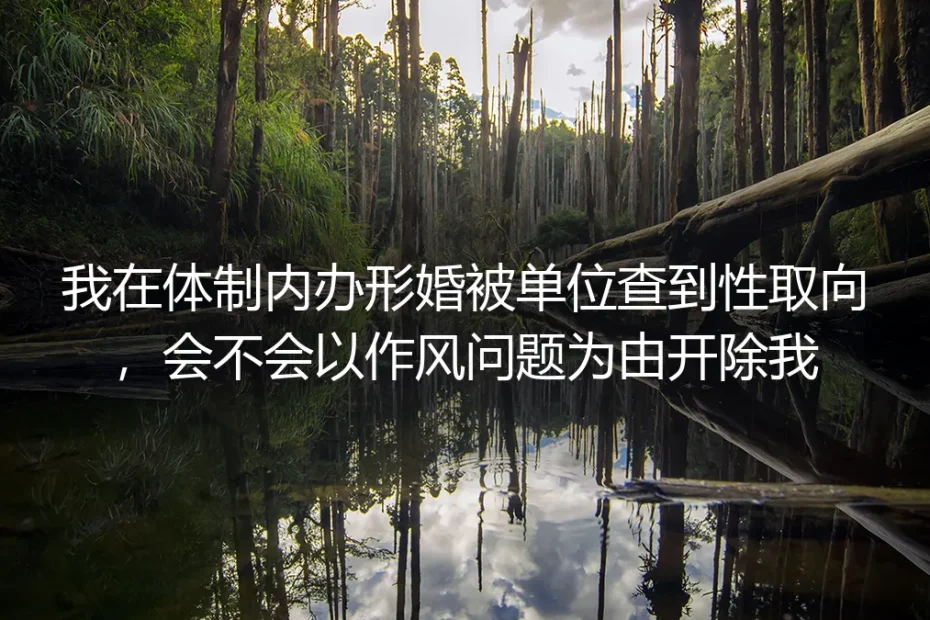 体制内形婚风险答疑：被查到性取向会因作风问题被开除吗？
