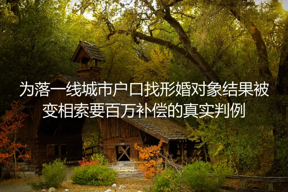 为落一线城市户口找形婚反被索百万补偿：真实判例里的形婚避坑指南