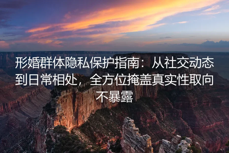 形婚群体隐私保护保姆级指南：从社交动态到日常相处，全方位筑牢真实性取向保密防线