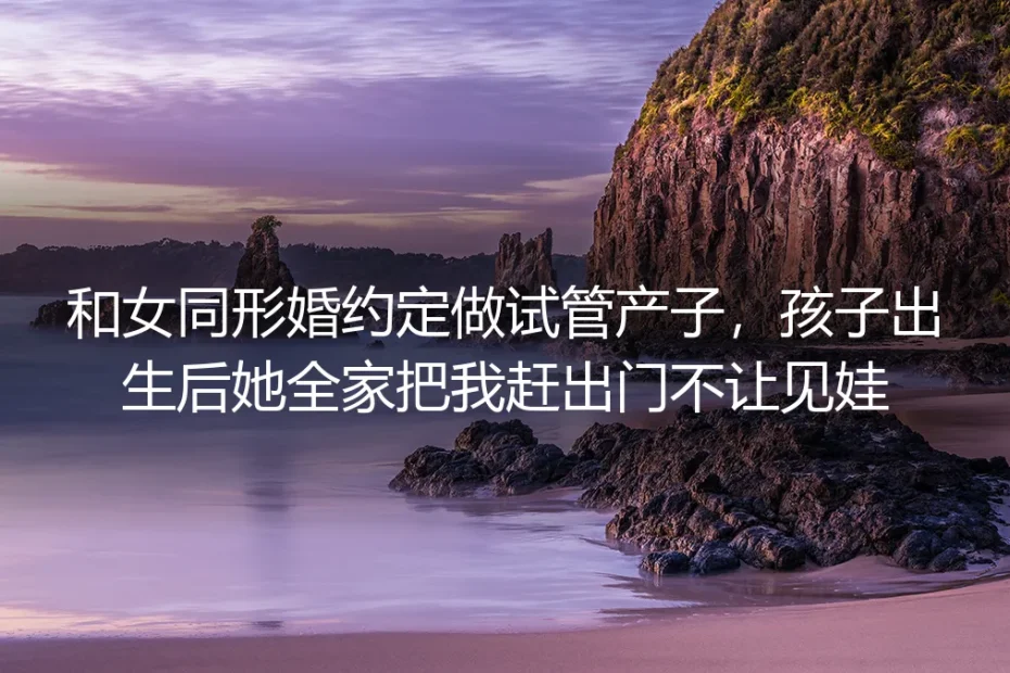 和女同形婚约定试管产子却被拒见孩子：藏在口头约定里的形婚深坑