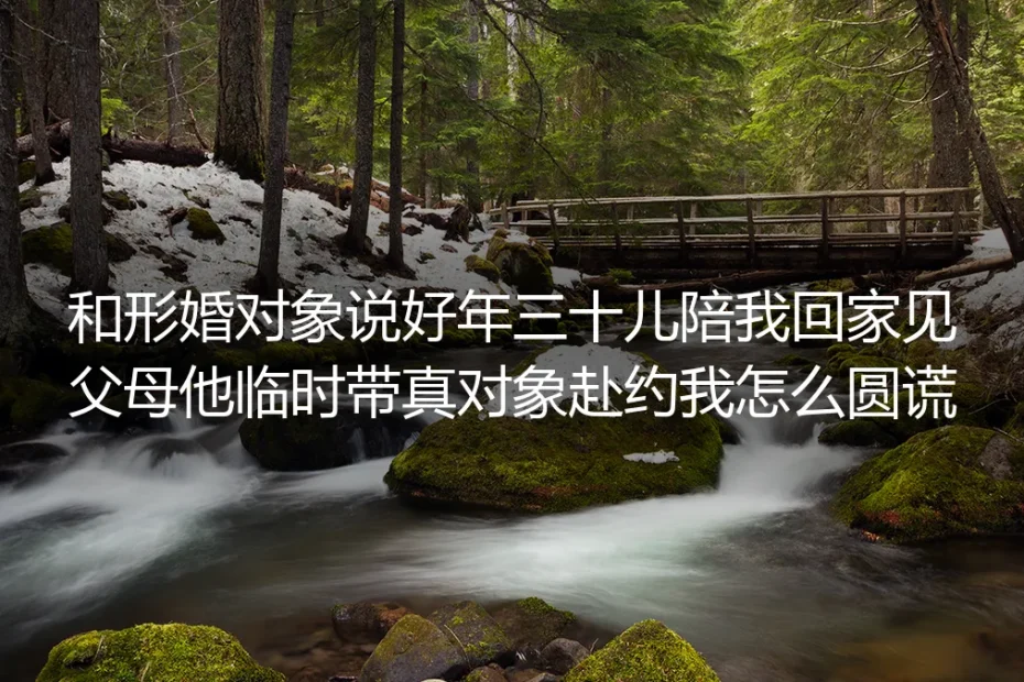 形婚年三十见家长突发状况FAQ：临时带真对象赴约怎么圆谎、避坑、划界