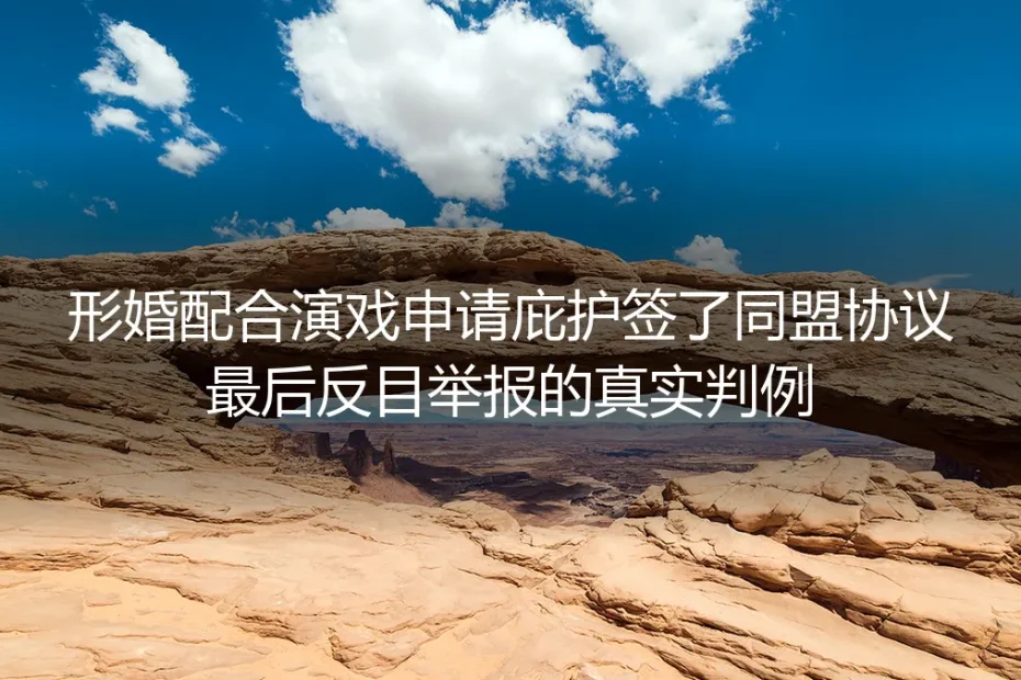 签了同盟协议仍反目举报：从形婚骗庇护真实判例拆解合作雷区
