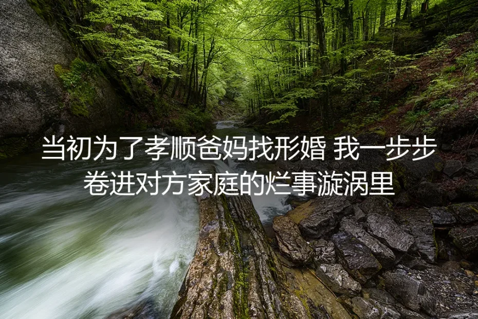 为孝顺爸妈找形婚，我一步步卷进对方家庭的烂事漩涡