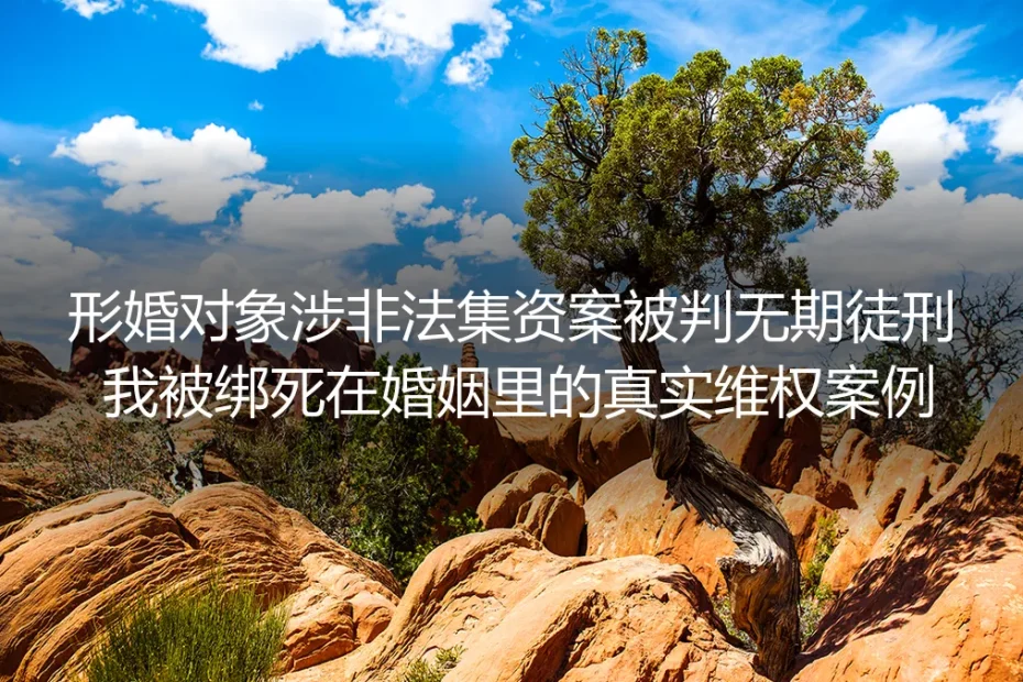形婚对象涉非法集资被判无期：被困婚姻的3年维权实录与避坑指南