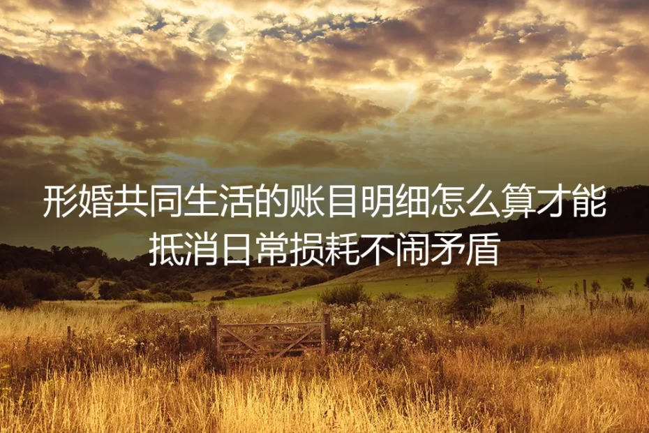 形婚共同生活账目明细核算保姆级指南：算清日常损耗、杜绝财务矛盾