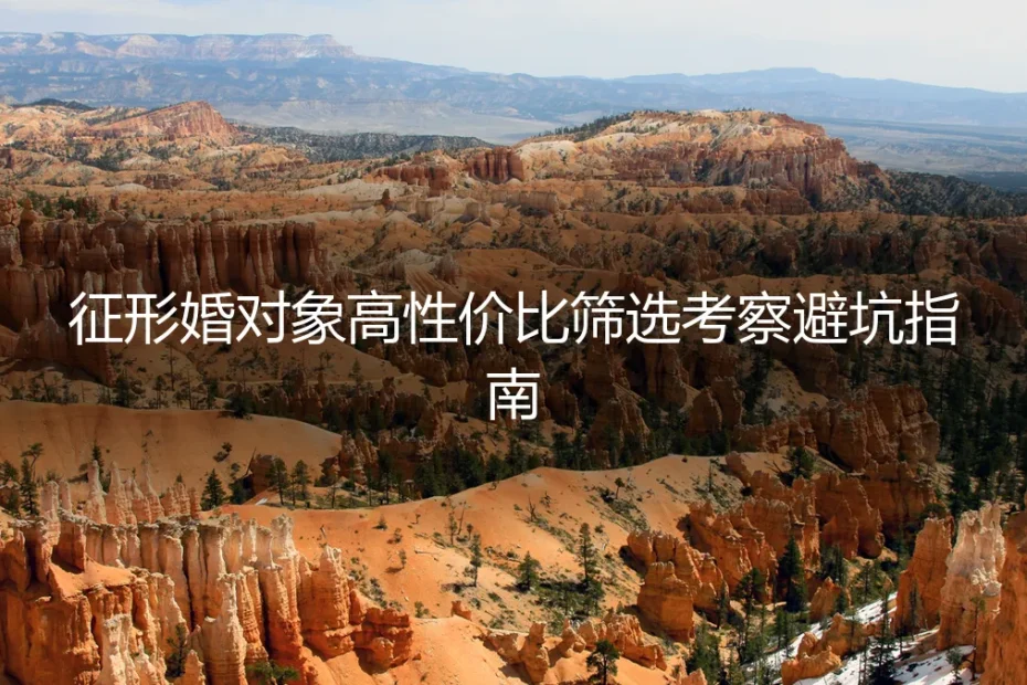 征形婚对象高性价比筛选考察保姆级避坑实操指南