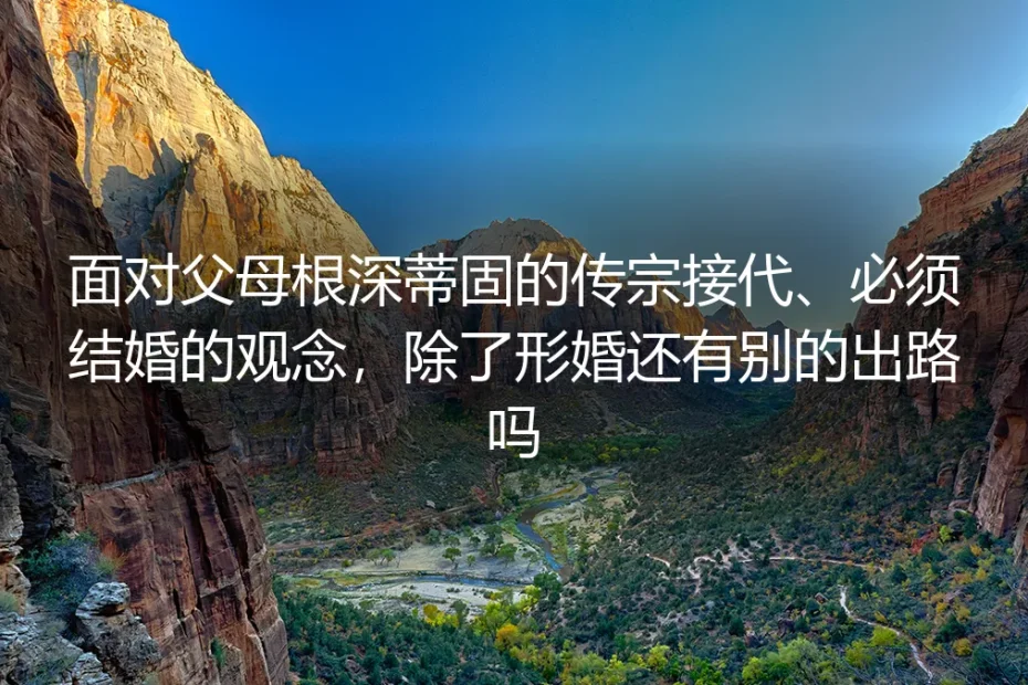 面对父母传宗接代式逼婚:除了形婚还有哪些可行出路?(深度FAQ)
