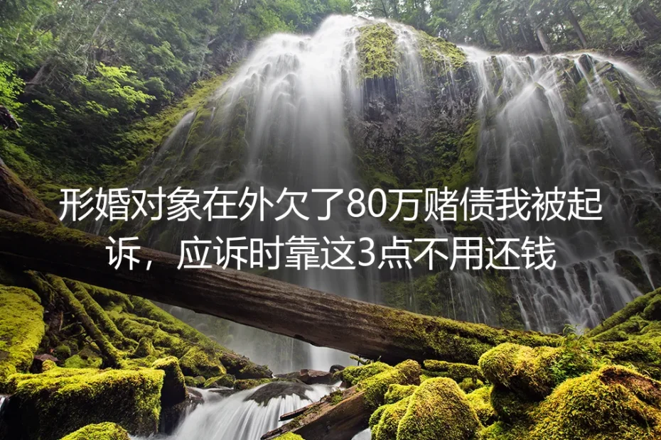 形婚对象在外欠了80万赌债我被起诉，应诉靠3点无需承担还款责任
