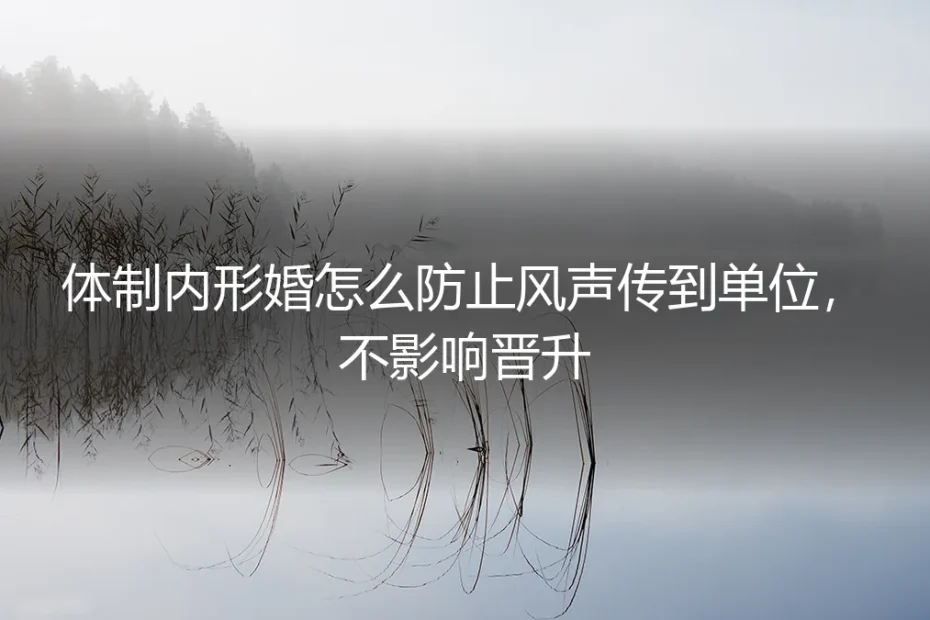 体制内形婚实操避坑指南：防单位泄密、保晋升全流程手册