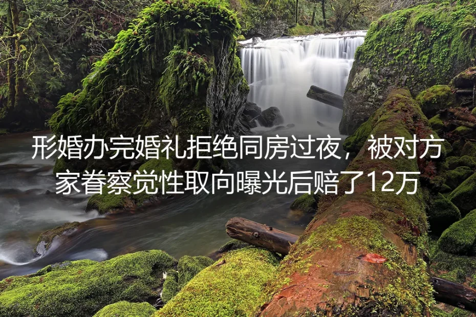 形婚办完婚礼拒同房过夜遭性取向曝光赔12万：那些踩红线的形婚局到底输在哪