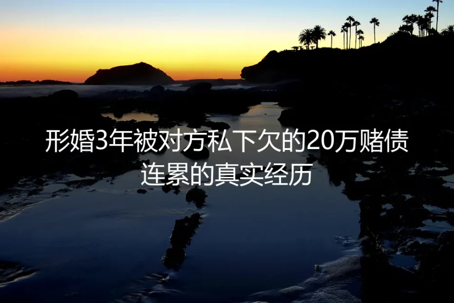 形婚3年被对方20万赌债连累：藏在“各取所需”里的致命暗坑