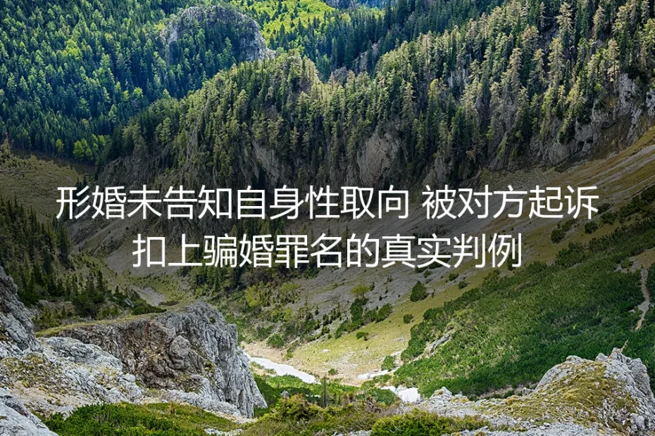 形婚未告知性取向被诉骗婚?从32万赔偿判例看懂形婚风险红线