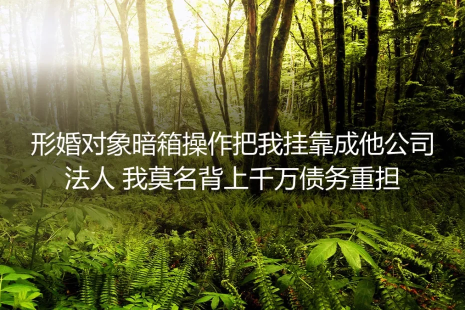 形婚对象暗箱操作挂靠我为公司法人：千万债务背后的形婚风险全拆解