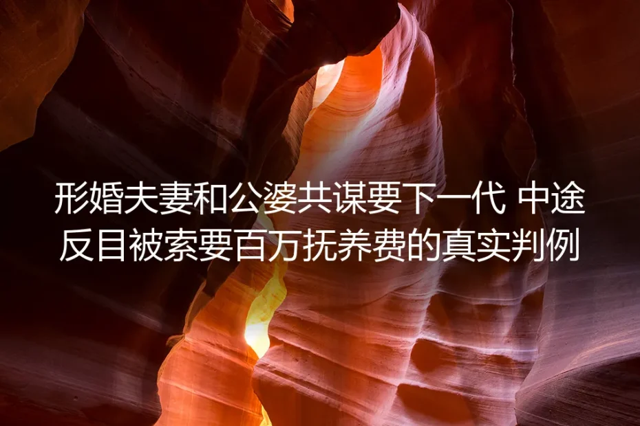 形婚共谋生子后反目被索百万抚养费:那些摆不上台面的约定,为什么全是坑?