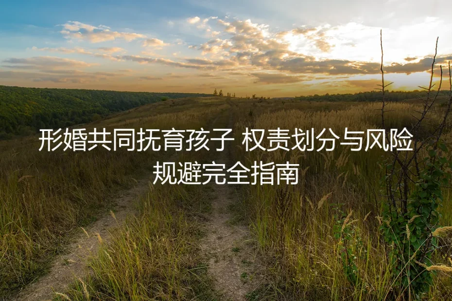 形婚共同抚育孩子保姆级实操避坑指南：权责划分与风险规避完全手册