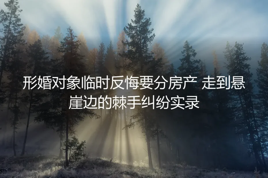 形婚对象临时反悔要分房产：走到悬崖边的棘手纠纷实录