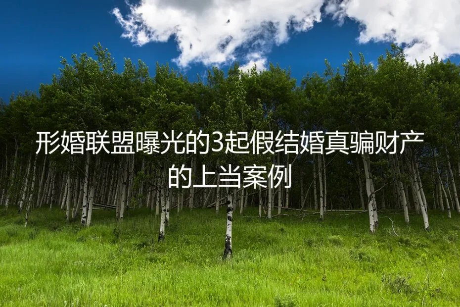 形婚联盟曝光3起假结婚真骗财产案例:藏在“各取所需”背后的陷阱