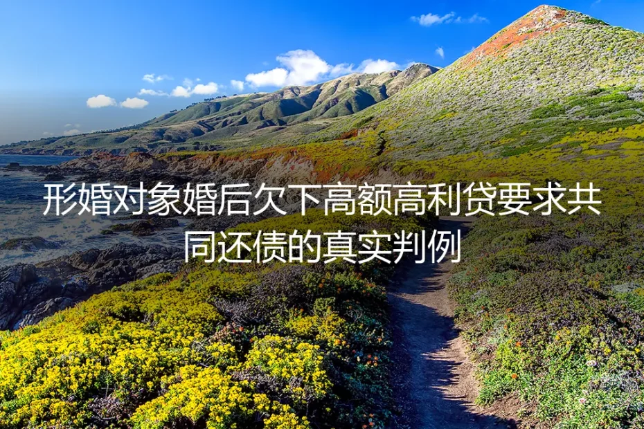 形婚对象婚后欠高额高利贷要求共同还债？从真实判例拆解避坑逻辑