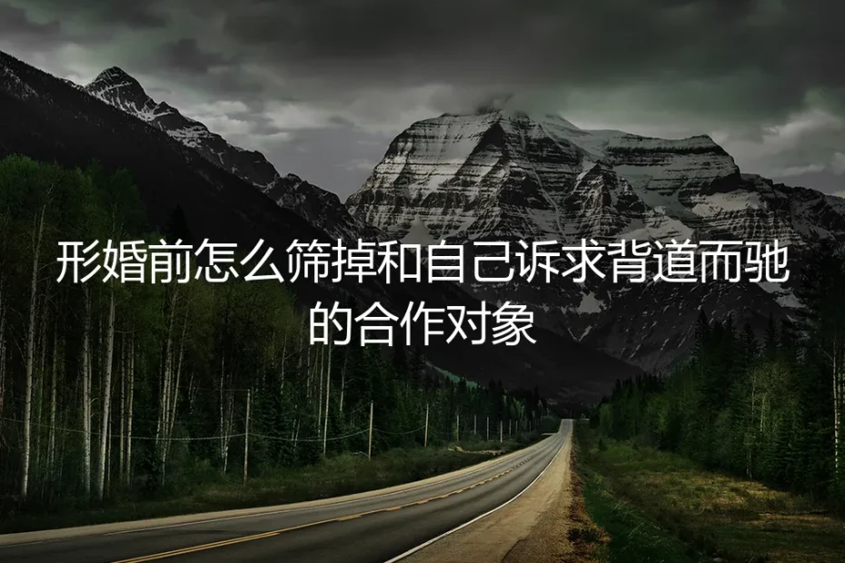 形婚对象筛选保姆级实操指南：精准筛掉诉求相悖的合作方，避开90%的翻车风险
