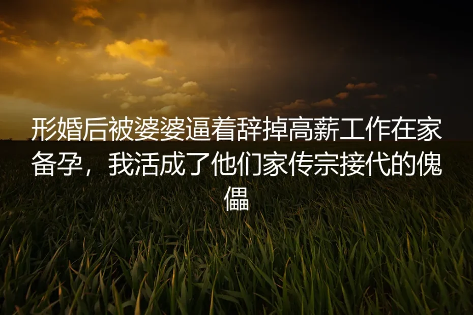 形婚后被婆婆逼着辞高薪工作备孕：别把合作婚姻过成传宗接代的傀儡局