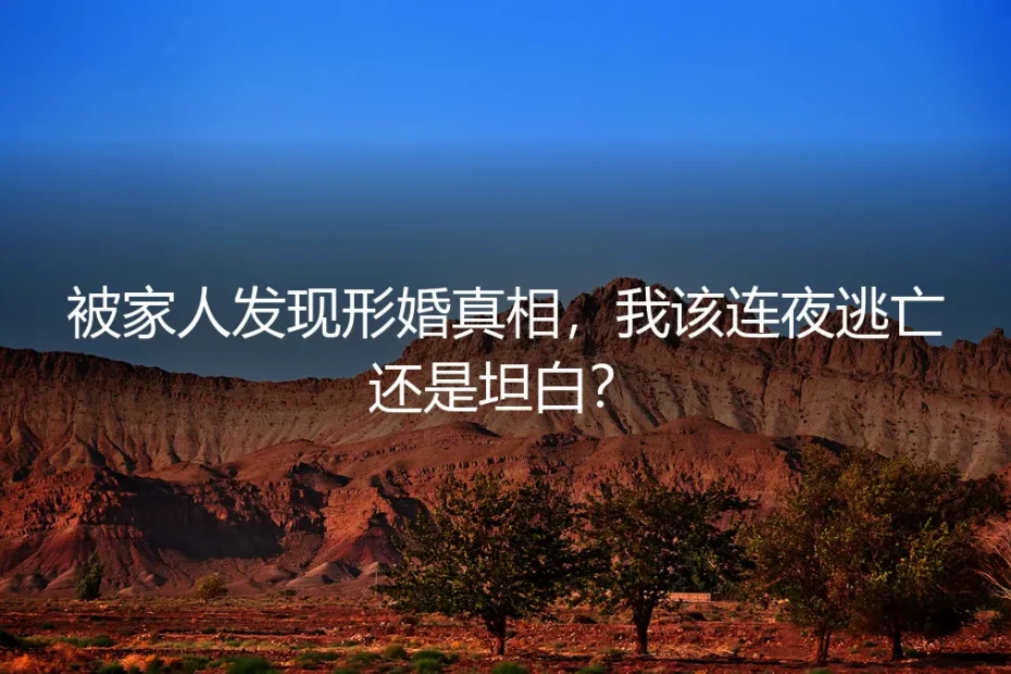 被家人发现形婚真相,我该连夜逃亡还是坦白?