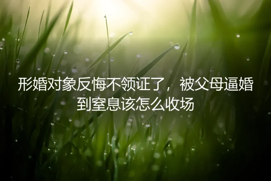 形婚对象反悔不领证,父母逼婚到窒息:如何体面收场?