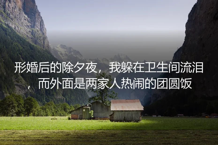 形婚后的除夕夜,我躲在卫生间流泪,而外面是两家人热闹的团圆饭