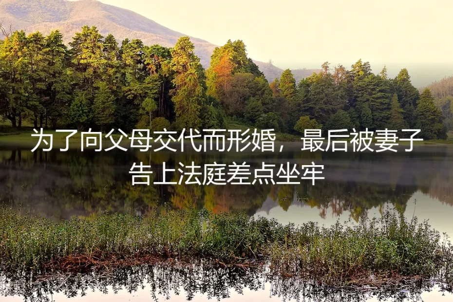 为了向父母交代而形婚，最后被妻子告上法庭差点坐牢