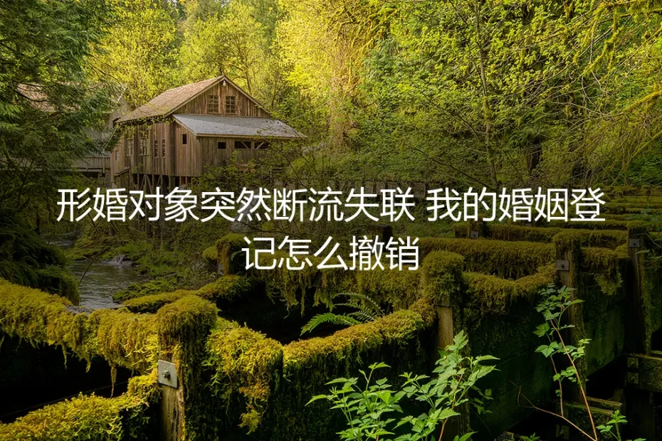 形婚对象突然断流失联，我的婚姻登记怎么撤销？