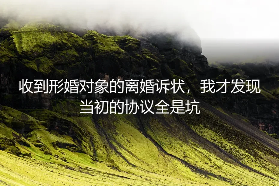 收到形婚对象的离婚诉状,我才发现当初的协议全是坑