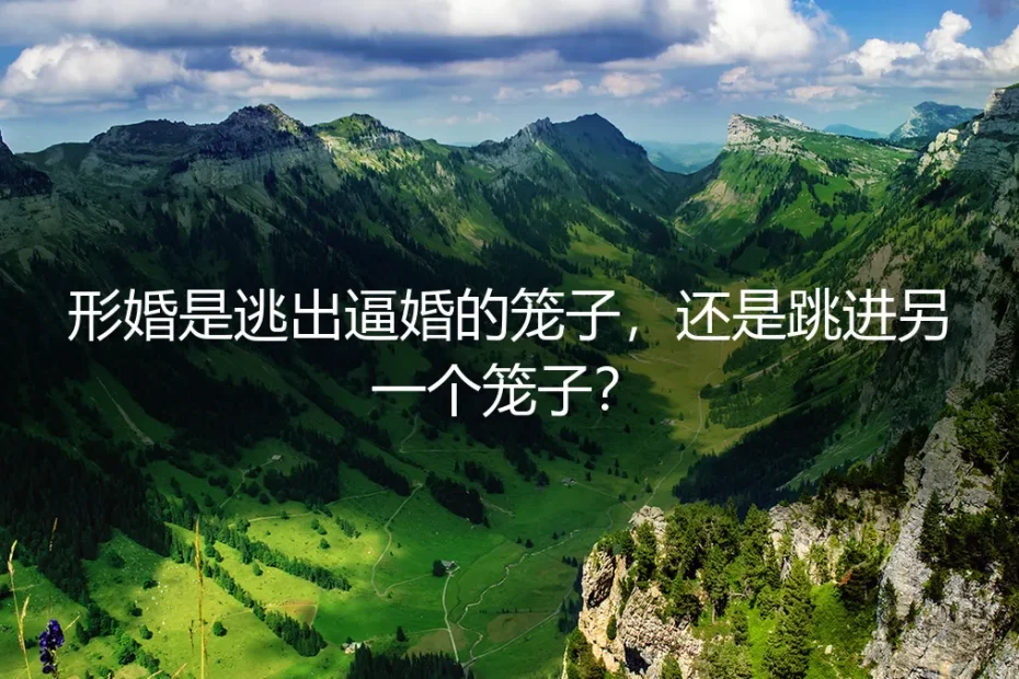 形婚是逃出逼婚的笼子，还是跳进另一个笼子？