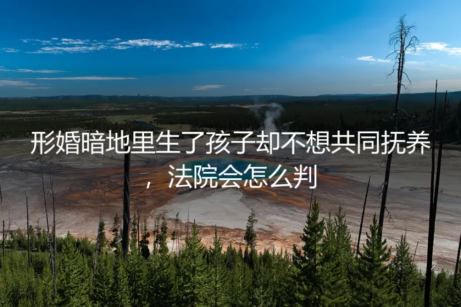 形婚暗地里生了孩子却不想共同抚养,法院会怎么判?