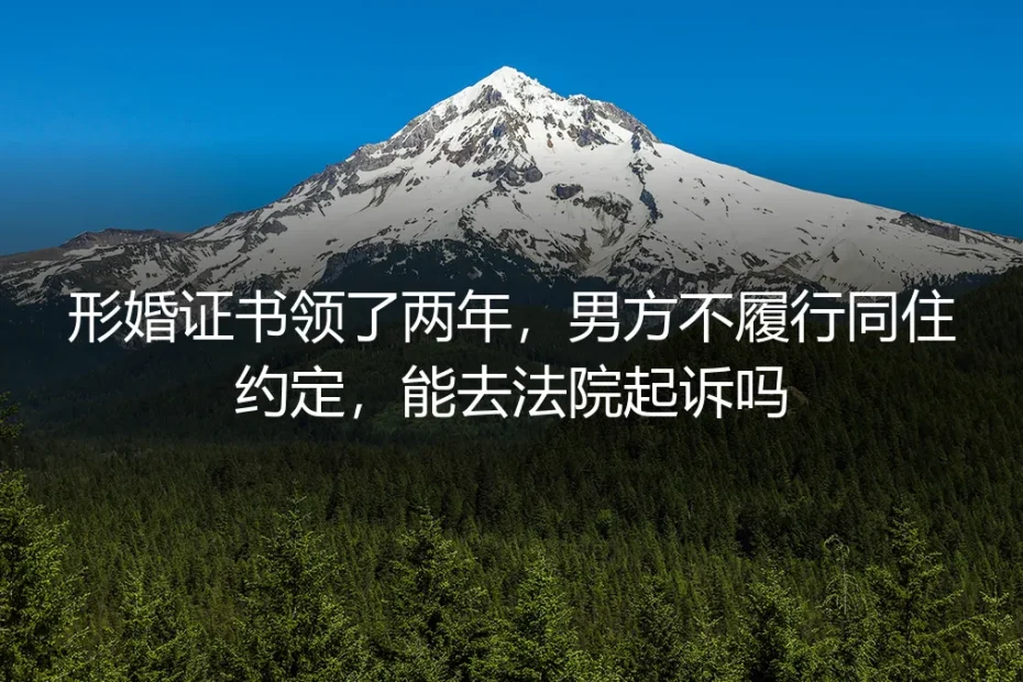形婚领证两年,男方不履行同住约定,能去法院起诉吗?